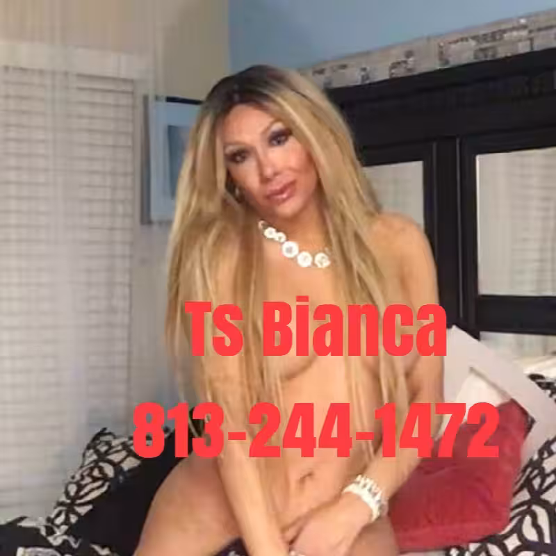 companion TS Bianca in Brandon, FL