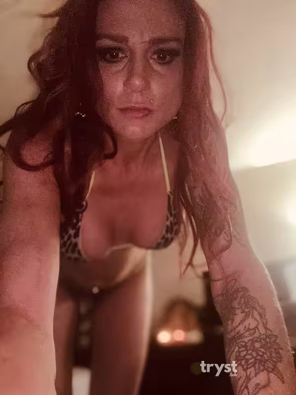 companion/Massage Gigi Storm / Scarlet Jane in Burnsville, MN