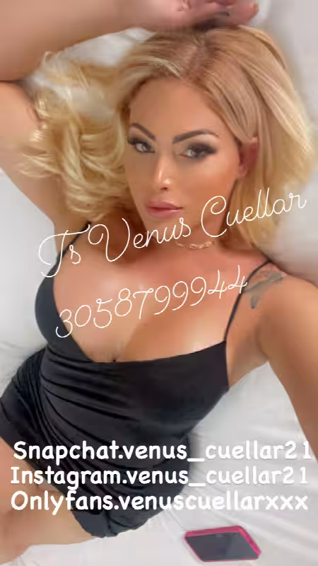 companion/Massage TS Venus Cuellar in Miami, FL