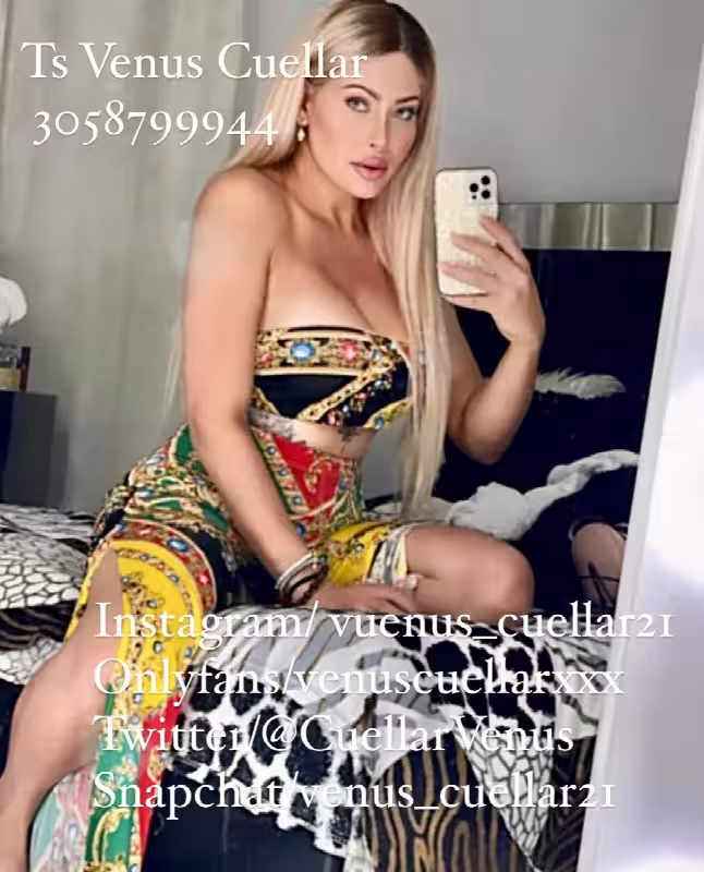 companion/Massage TS Venus Cuellar in Miami, FL