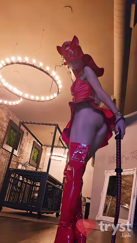 companion/Massage/S&M Natasha in New York City - Manhattan, NY