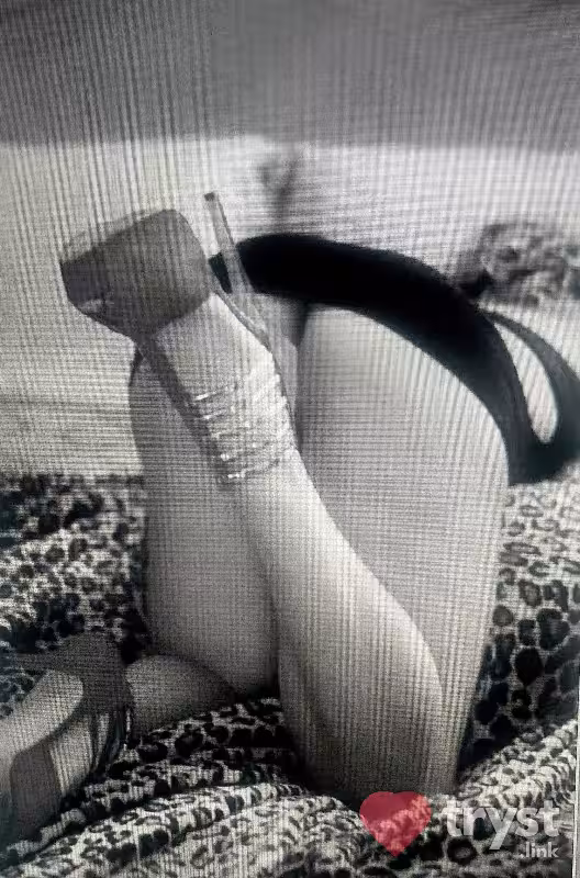 companion/Massage Sexylilmynx / CJ in Sarasota, FL
