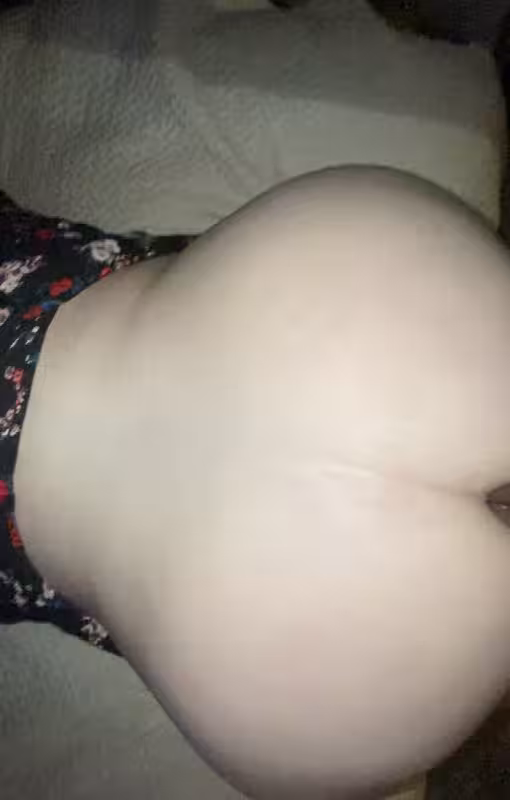 companion TS Claudia / TS Savanna in Secaucus, NJ