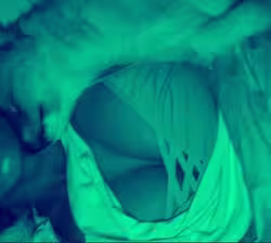 Chanel Taylor / Star Jason, photo 2