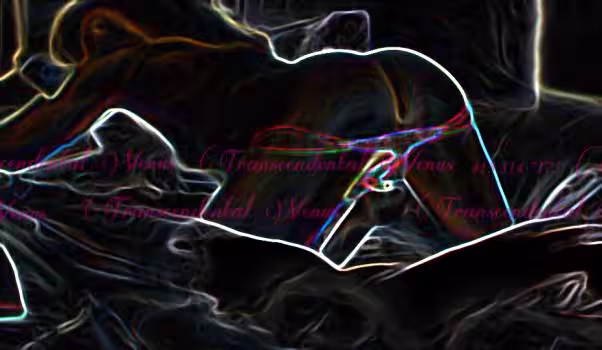 TS Venus, photo 2