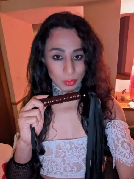 TS Nelly / TS Exotic /TS Insatiable / TS Gipsy, escort in Chicago, IL
