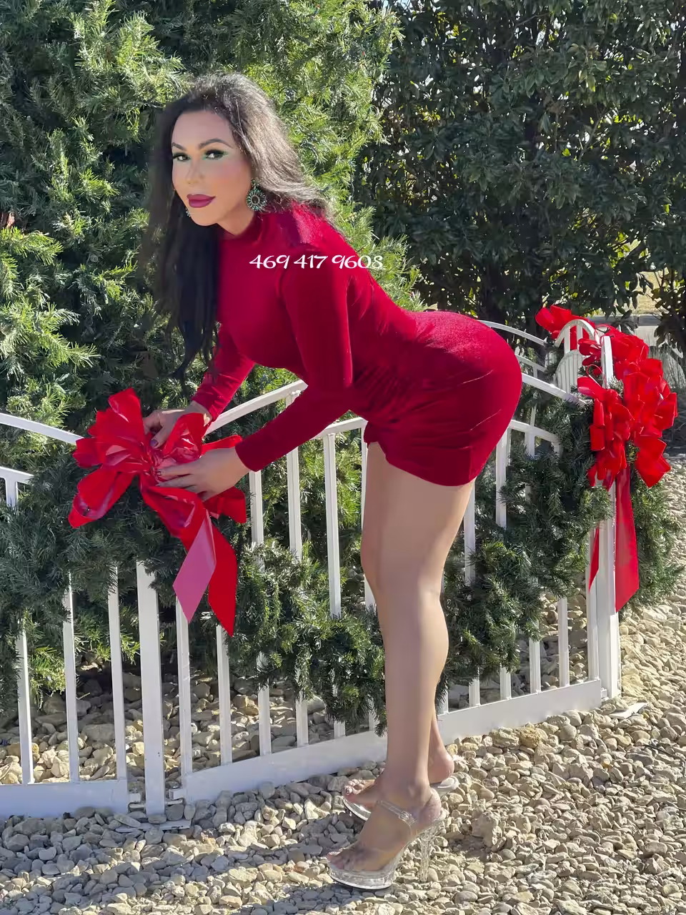 TS Andressa / TS Alexxandria, photo 4