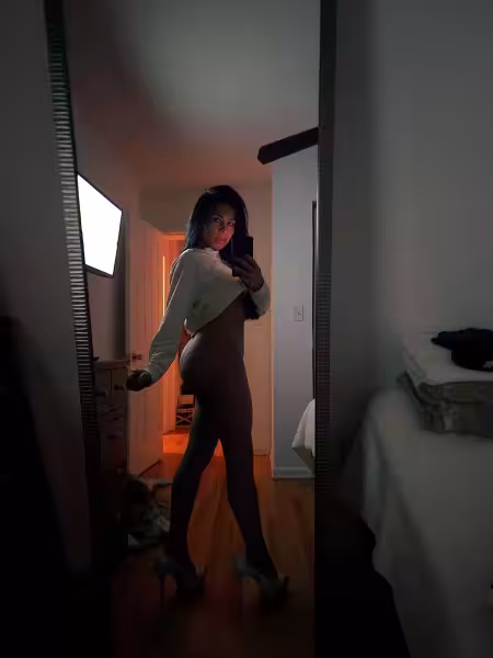 TS Rosa / Roselin, escort in Chicago, IL