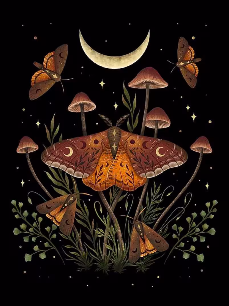Moth / Lady Kegal, photo 7