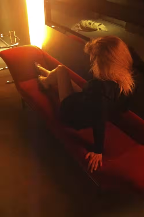 Chase, photo 4
