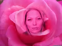 Somer, photo 4
