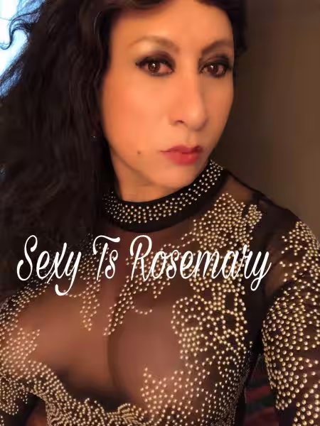TS Marsela / Rosemary, escort in Aurora, IL
