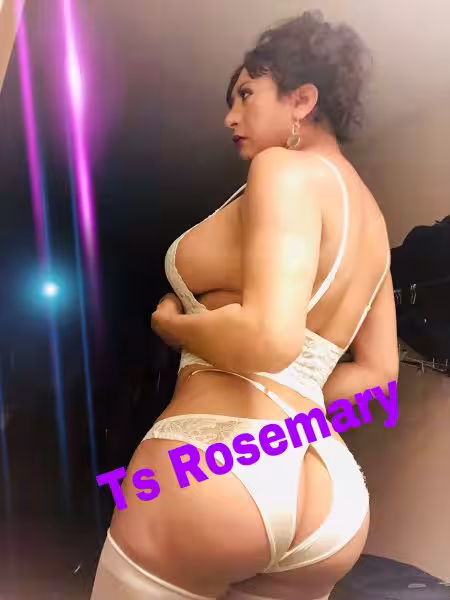 TS Marsela / Rosemary, photo 5