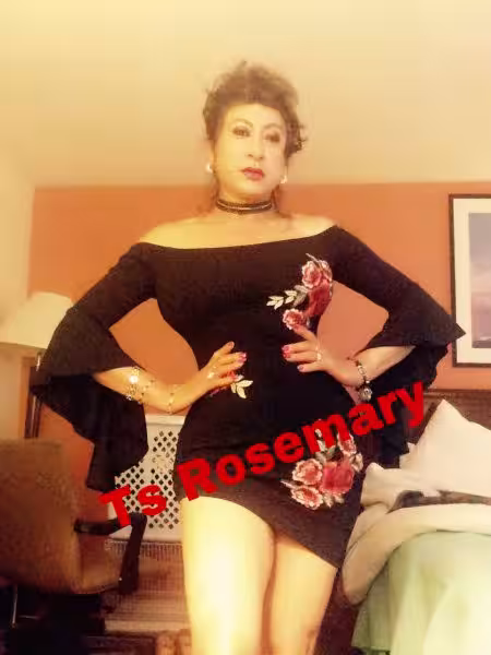 TS Marsela / Rosemary, photo 6
