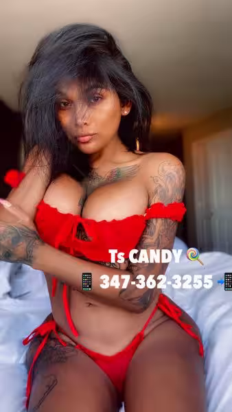 TS Candy / Karla, photo 2