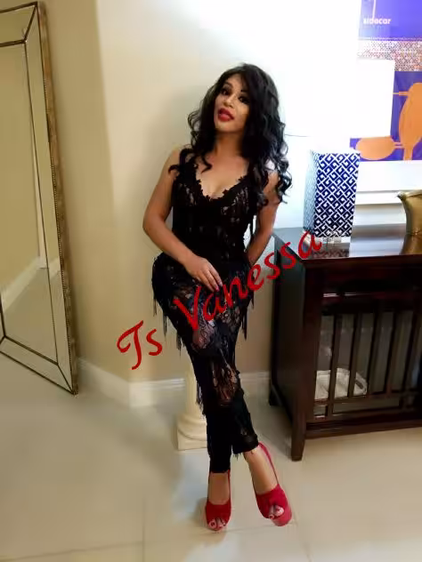 TS Vanessa, photo 3