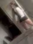 CharliGirl / Charli Davies, photo 4