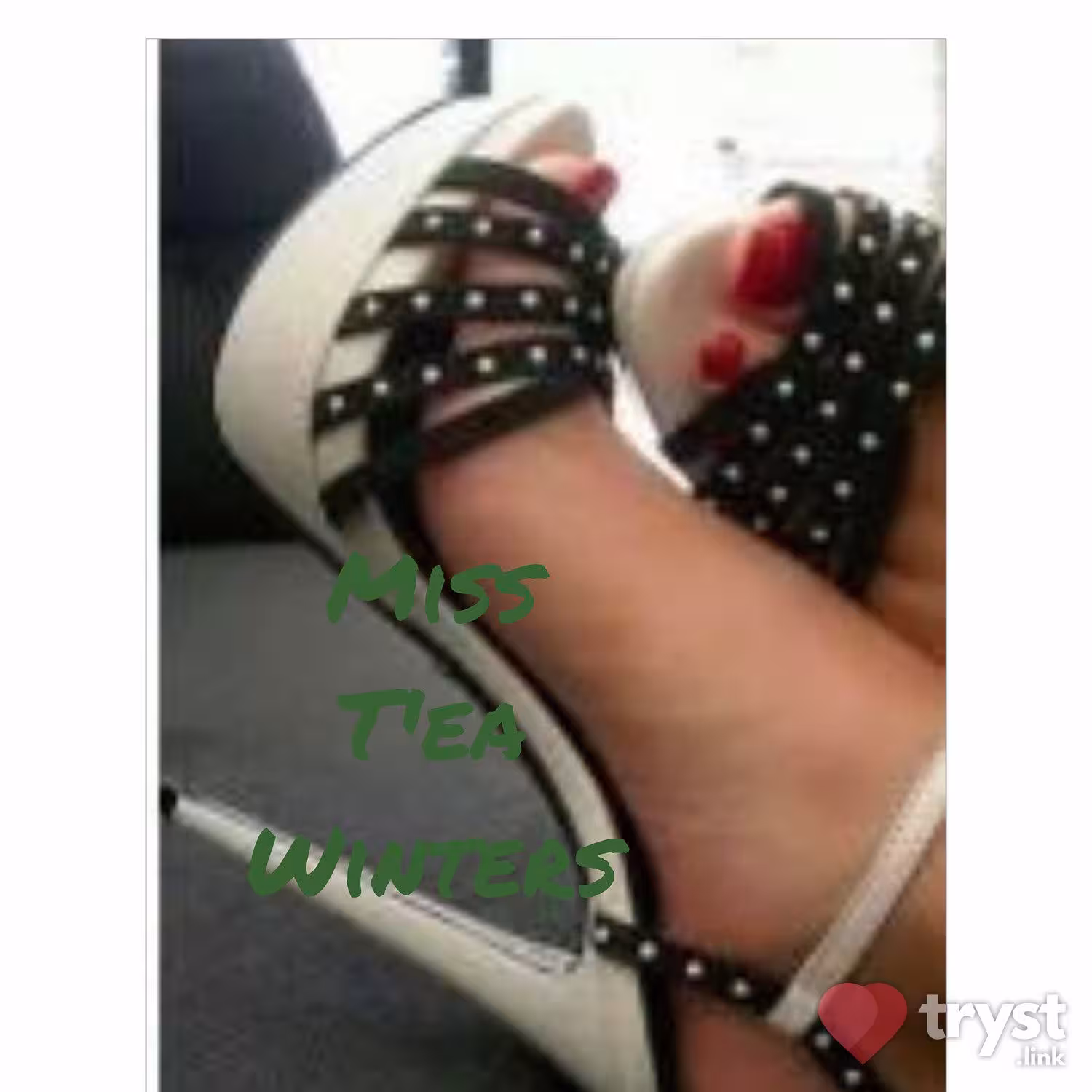 T'ea Winters, escort in Washington, D.C., DC