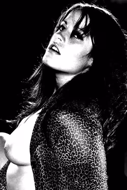 Sexy Sadie, photo 4