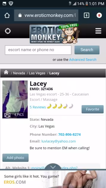 Lacey, photo 3