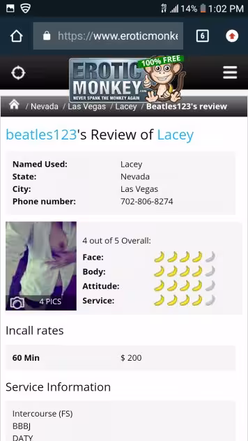 Lacey, photo 4