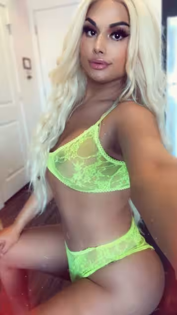TS Gia Staxxx, escort in Denver, CO