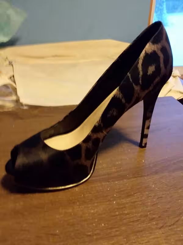 Roxy, escort in Madison, WI