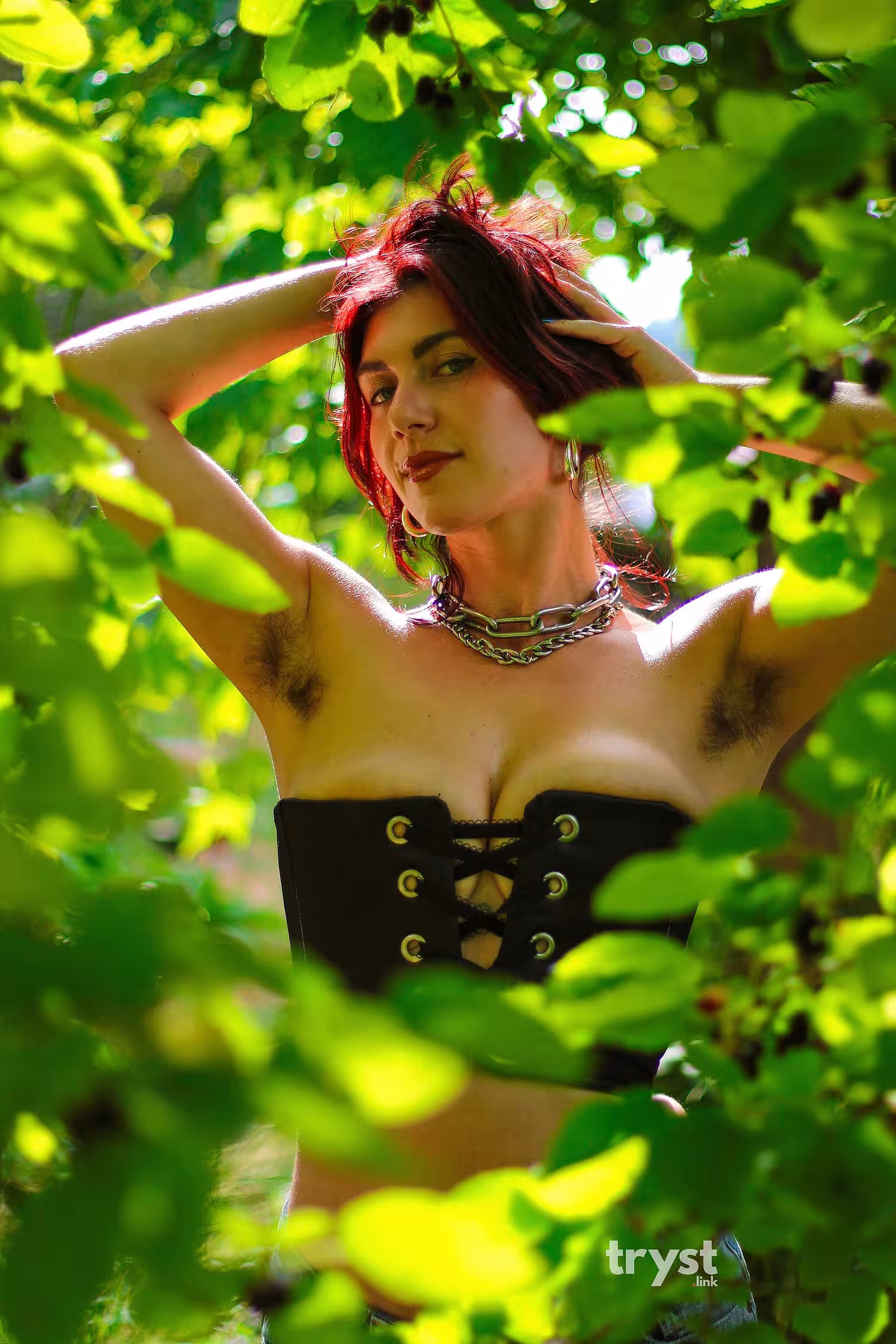 Cat Gold, photo 5