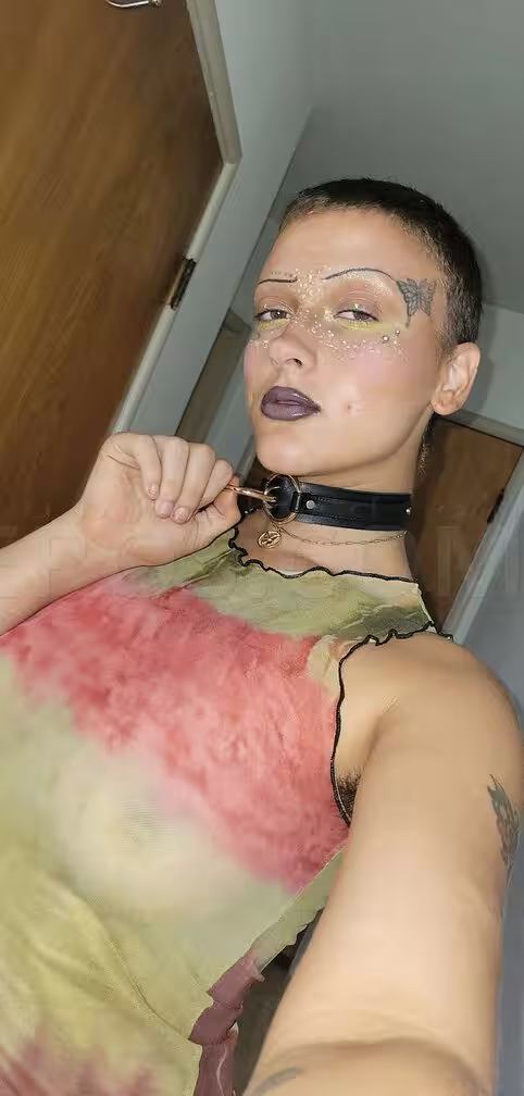 Pixie / Aurora, photo 2