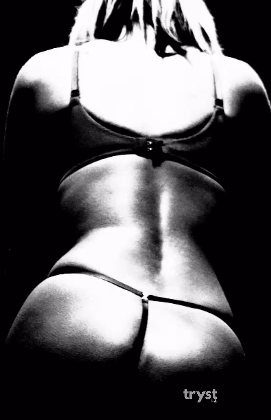 Skylar, photo 8