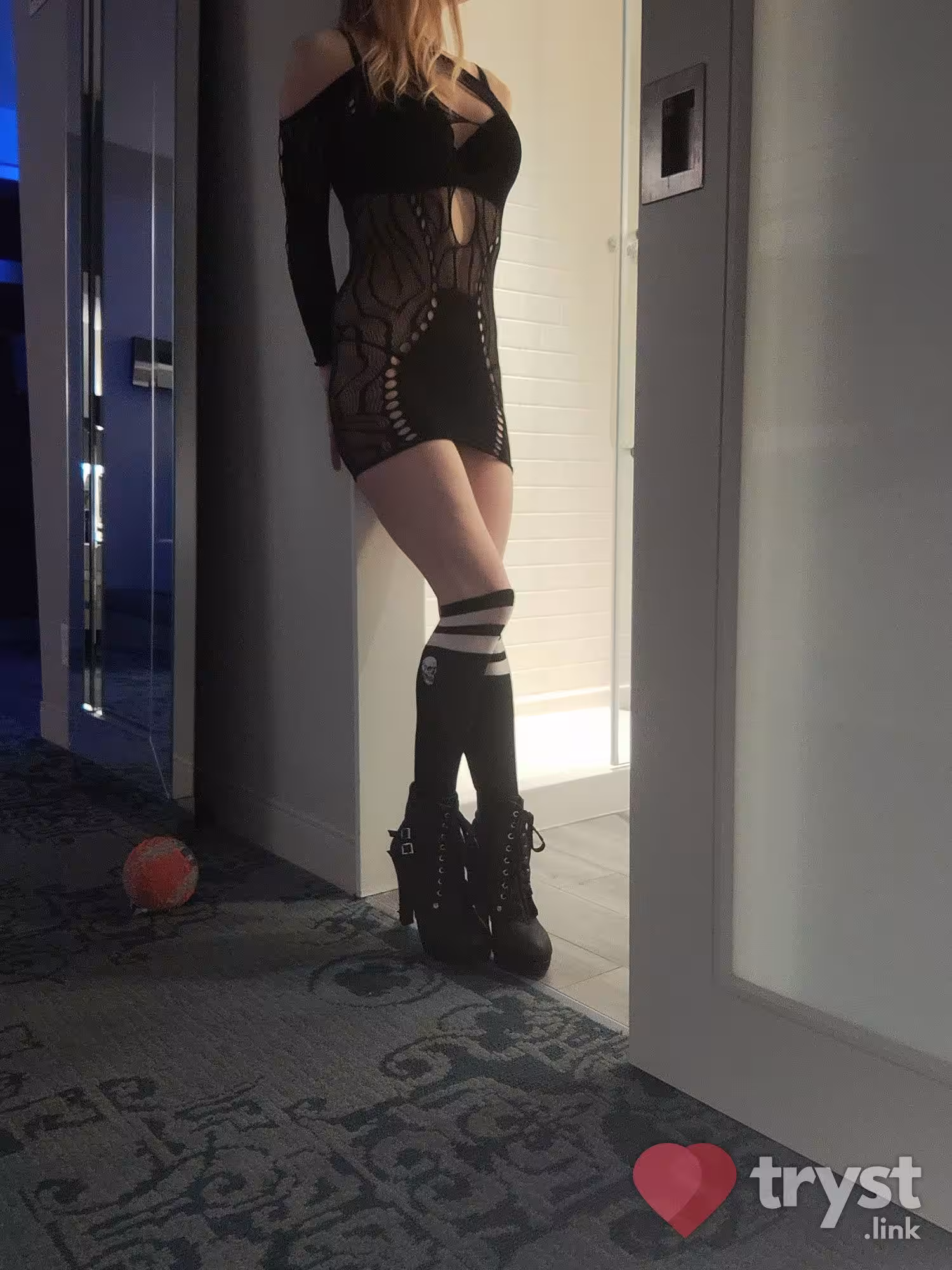 Aliyah, escort in Albany, NY