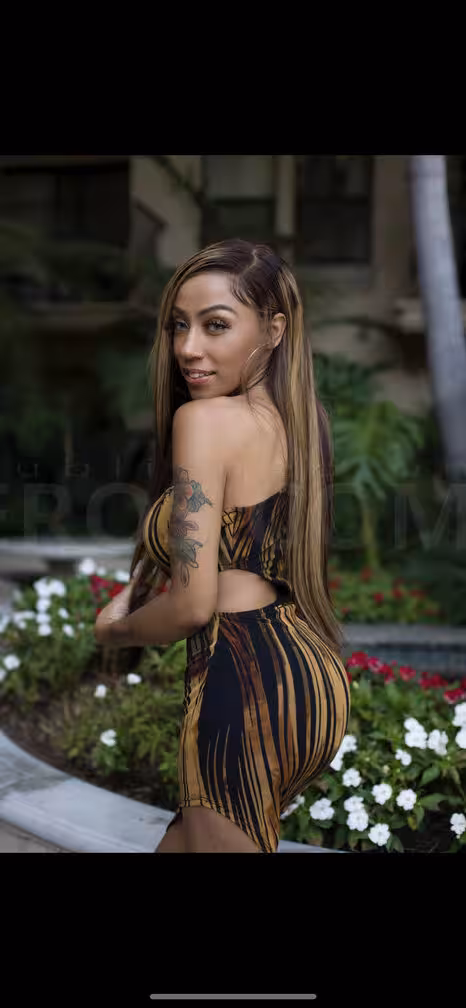 Nikki, photo 7