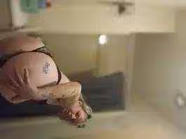 Damsel, photo 3