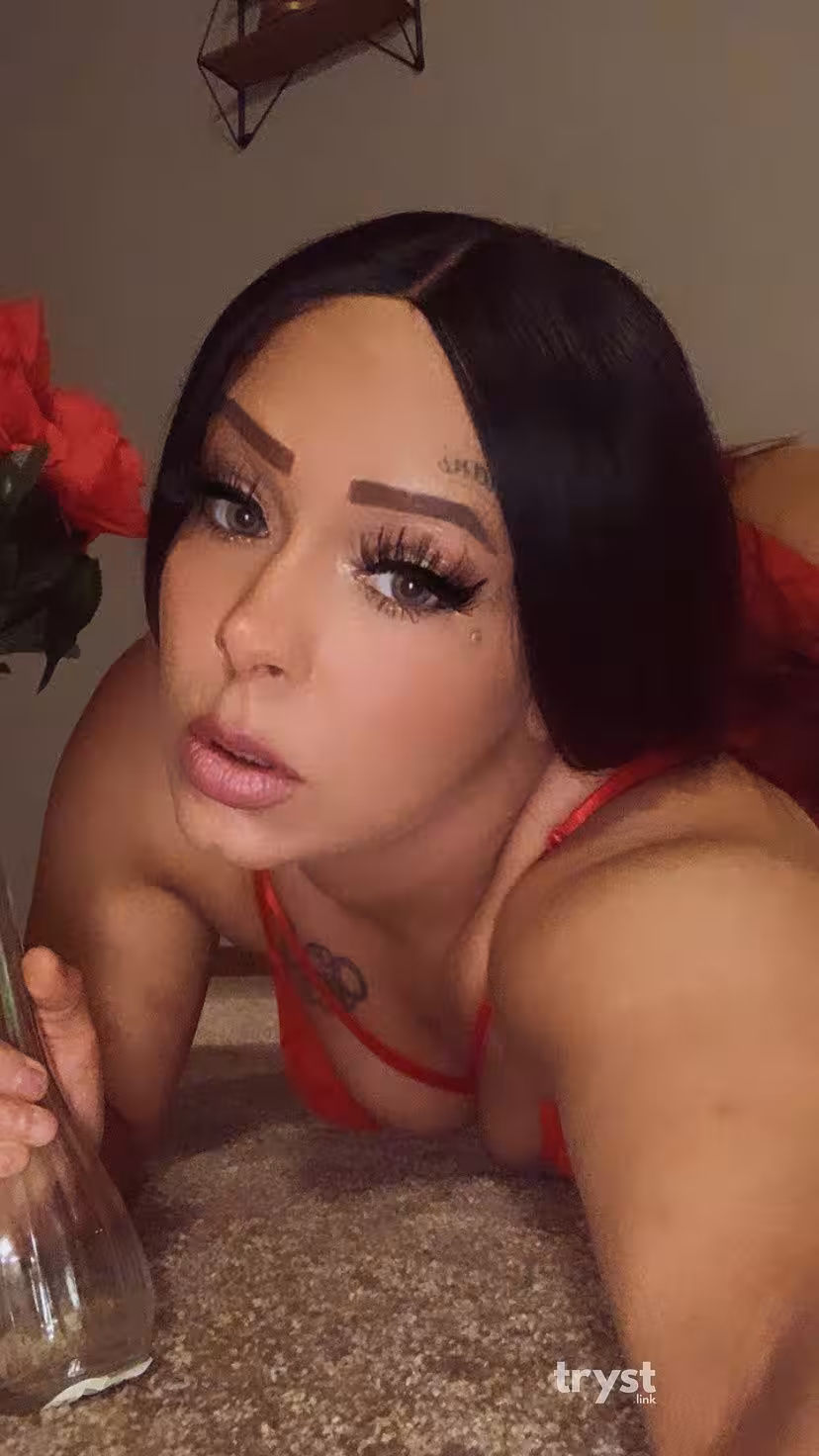 Lexi, photo 6
