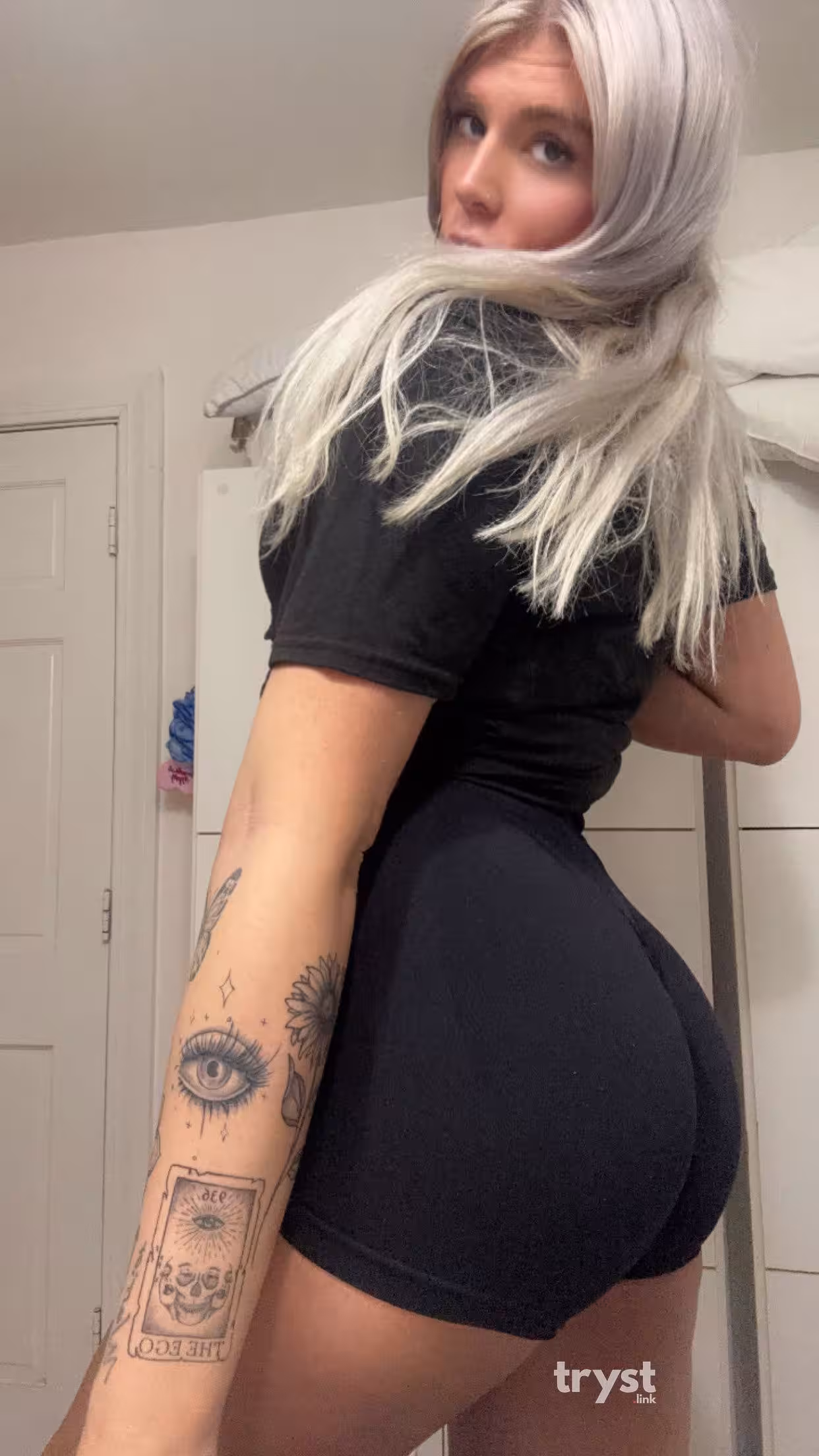 TS Dallas Divine, escort in Minneapolis, MN
