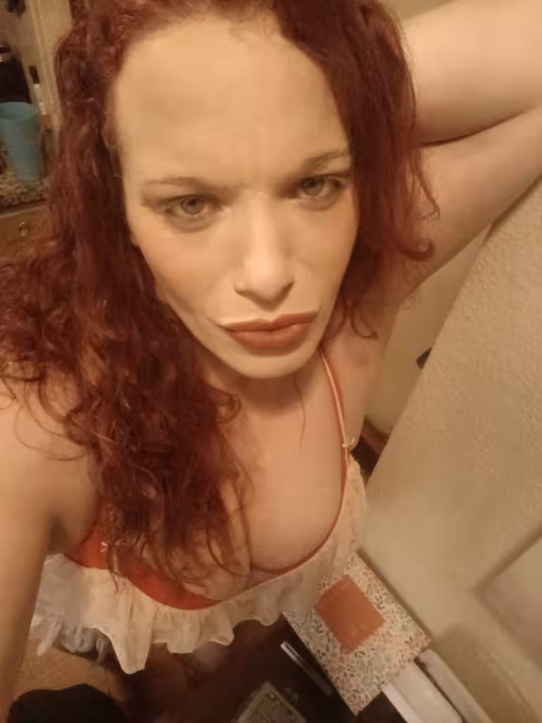 Dixie, photo 2