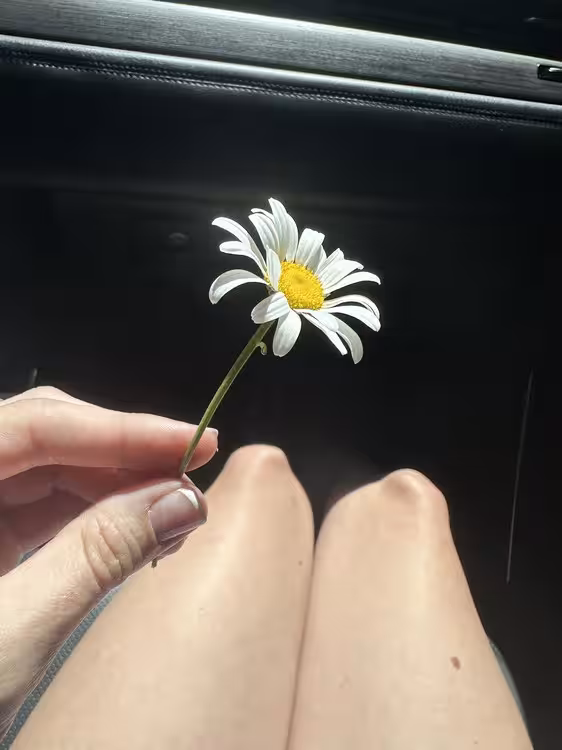 Amberlynjade, photo 2