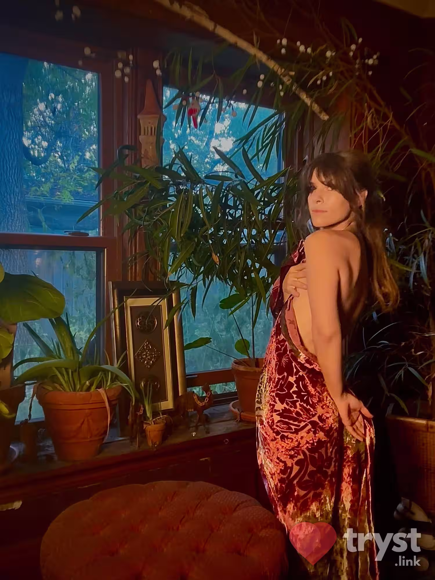 Lily, photo 6