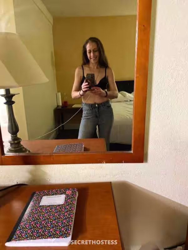 Gawk, photo 4