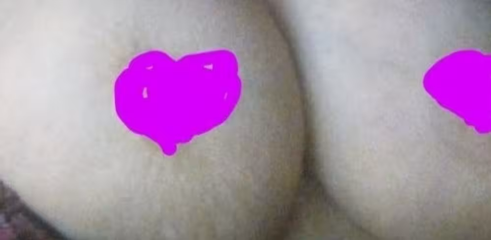 Coco, photo 5