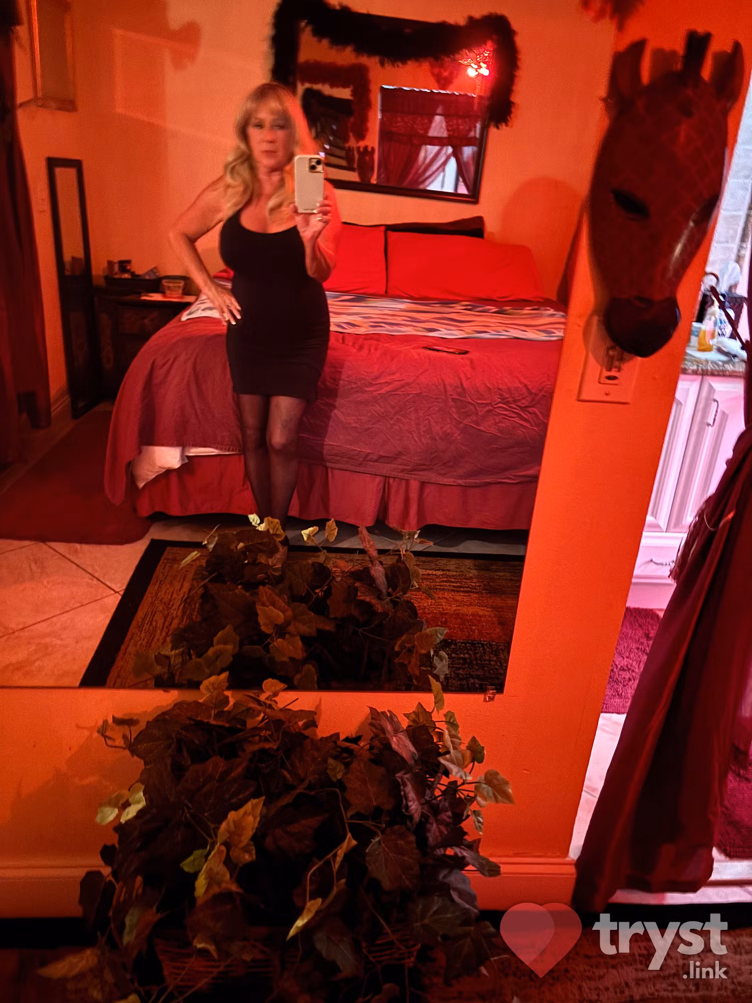 Linda / Candi, photo 10