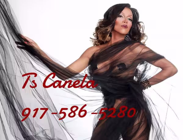 TS Zuleyma / TS Canela / TS Alba /Brenda/Angela, photo 3