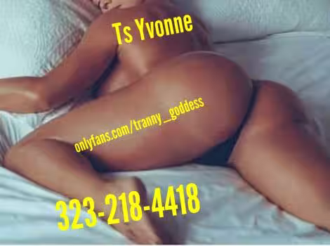 TS Alexa / Melina / Nirvana/ Yvonne, photo 4